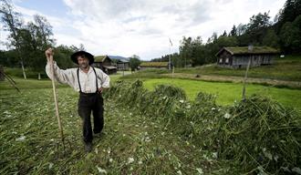 Slåttedagar i Eidsborg
