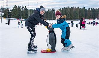 barn på skøyteisen, to som holder på en liten pigvin