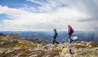 to vandrere med hund på toppen av Skorve