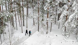 Vandring om vinteren