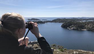 Vardåsen