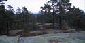 En av toppene i Bamble, Hørsfjell