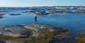 Sjøørretfiske fra svaberg