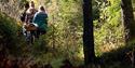 Tre turkledde jenter vandrer i skogen på høsten.