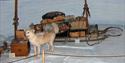 From the exhibition about the South Pole Race, sledge and a dog