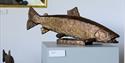 Sculpture, fish