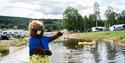 bever fra Beverøya Camping