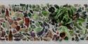 Lettuce Legacy, Toril Redalen.