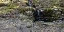 Liten foss