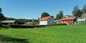 Hagvoll gård med egen gårdsbutikk i Sannidal
