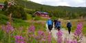 vandring langs Kvennavegen