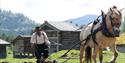 Våronn, museumsbonden pløyer med hest.