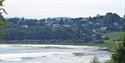 Børsesjø naturreservat