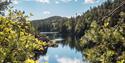Utsikt utover vannet fra Skotfosstien