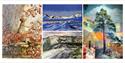 Collage fire kunstnarar, sommarutstillinga på Grimdalstunet 2025.