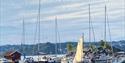 Saltneven gjestehavn i Kragerø