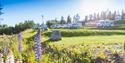 bobilparkeringen på Groven Camping & Hyttegrend