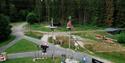 klatreparken i Skien fritidspark