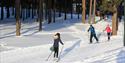 Langrennsløyper i Skien fritidspark