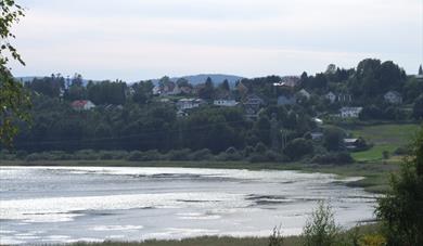 Børsesjø naturreservat