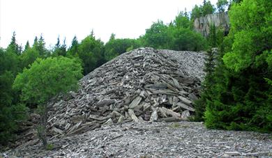 Brynesteinsbrotet på Dalen