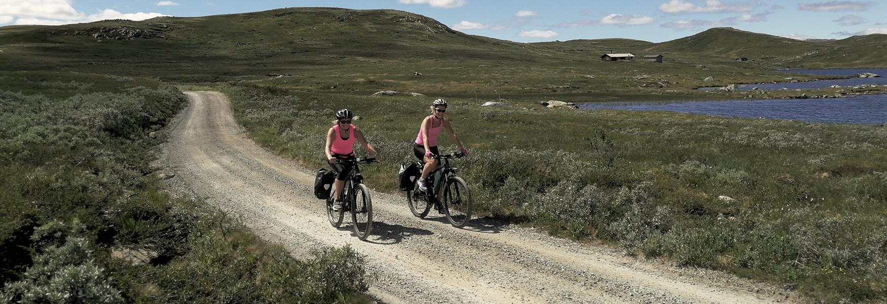 Sykkeling på Hardangervidda