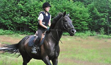 girl riding a dark horse