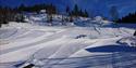 Vinterlandskap med oppkjørte skiløyper