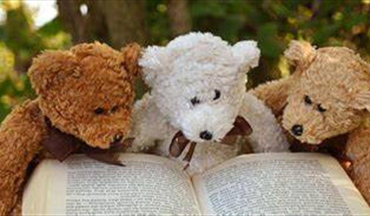 3 bamser foran en bok