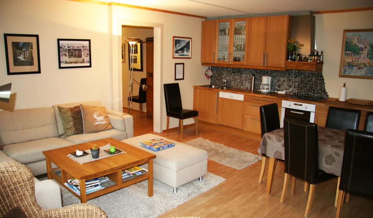 stue og kjøkken på Raulandsfjell leiligheter