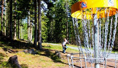 Frisbee golf at the Skien fritidspark