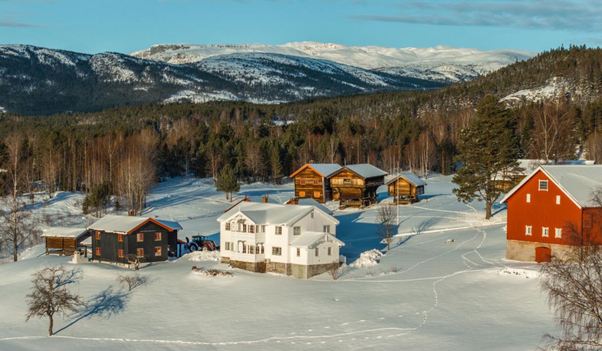 husene på Bolkesjø gård om vinteren