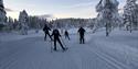 Skiløpere i fantastisk flott vinterlandskap