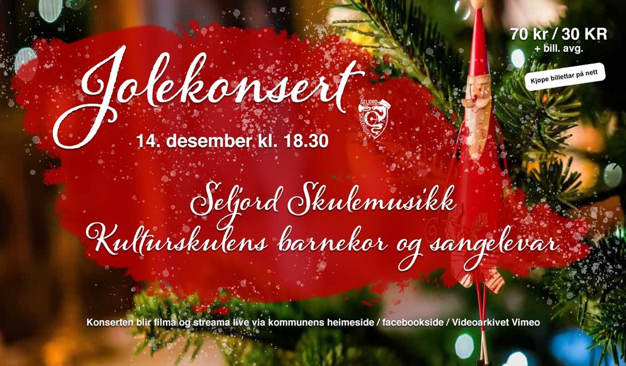 Plakat julekonsert med Seljord Skulemusikk