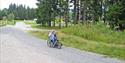 mann i rullestol kjører på turløypene i Skien fritidspark