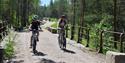 2 syklister sykler på sykkelveien "gamle Treungenbanen"