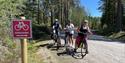 gruppe syklister som sykler på "kulturrunden" i Drangedal